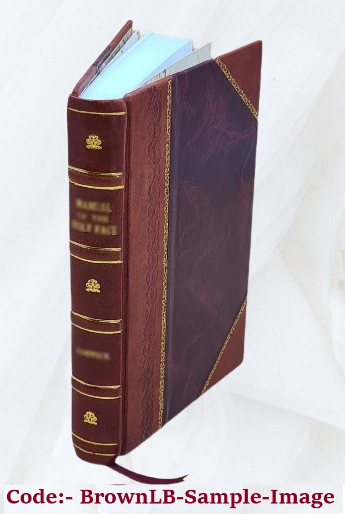Vermont History Leather Bound Y195